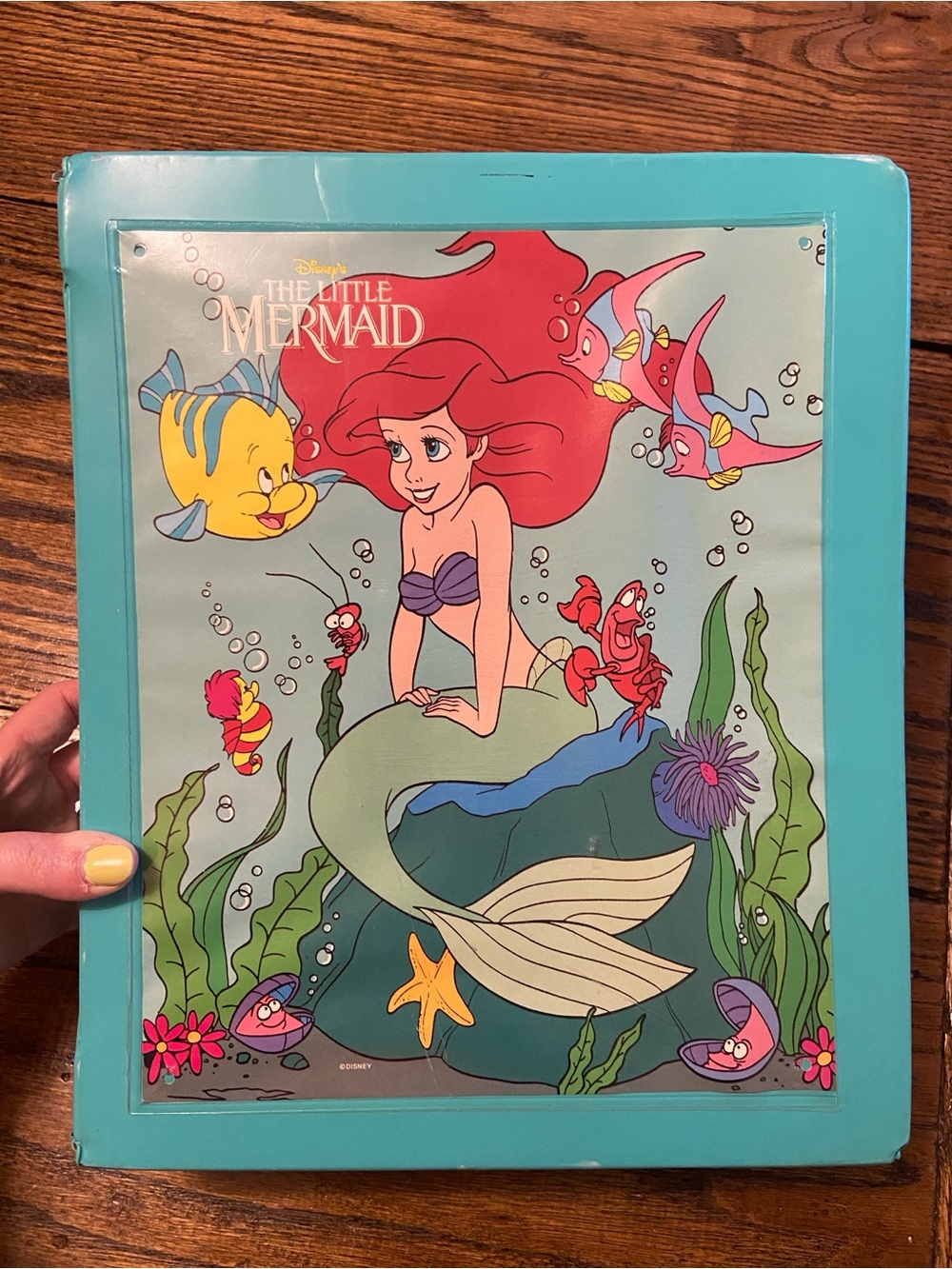 The Little Mermaid Vintage Doll Case